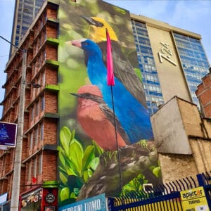 Grafit1